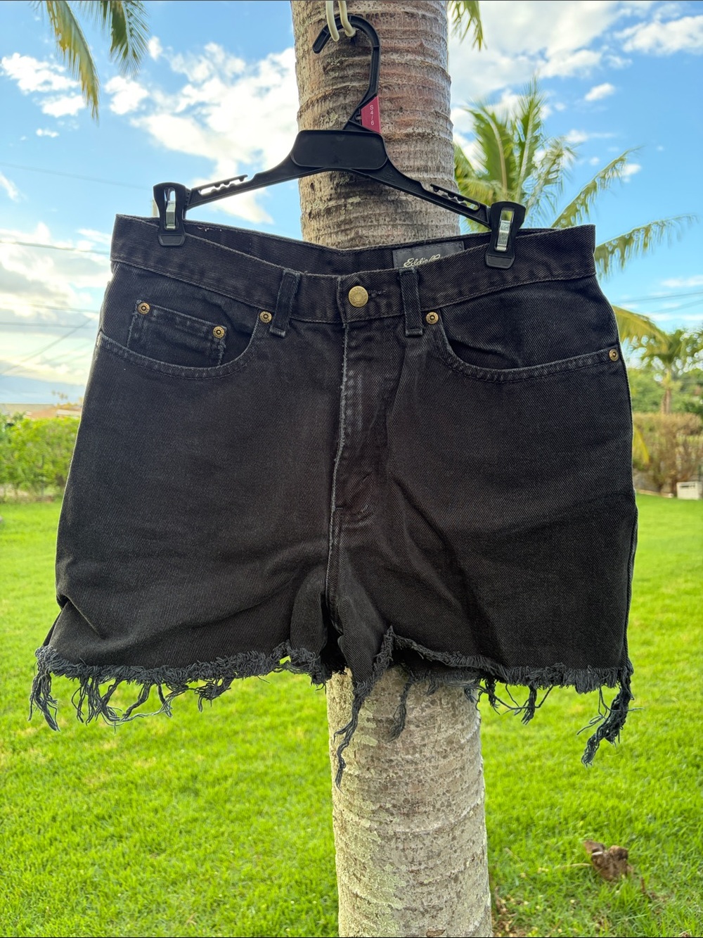 Eddie Bauer Cut Off Black Frayed Hem Denim Cutoff Shorts